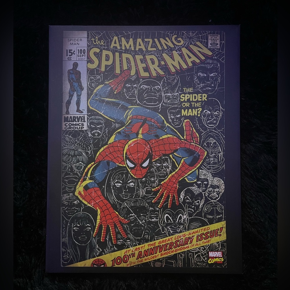 Spiderman home decor 18in tall 14in long